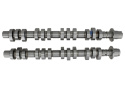 Kamaxlar 4.6L 3V Mustang GT 2005-10 Ford Racing