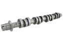 Kamaxlar 4.6L 3V Mustang GT 2005-10 Ford Racing