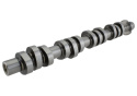Kamaxlar 4.6L 3V Mustang GT 2005-10 Ford Racing