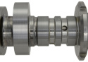 Kamaxlar 4.6L 3V Mustang GT 2005-10 Ford Racing