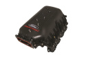 Insug Efi 4.6L 3V Ford Racing