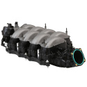 2018-2023 Gen 3 5.0L Coyote Insug Ford Racing
