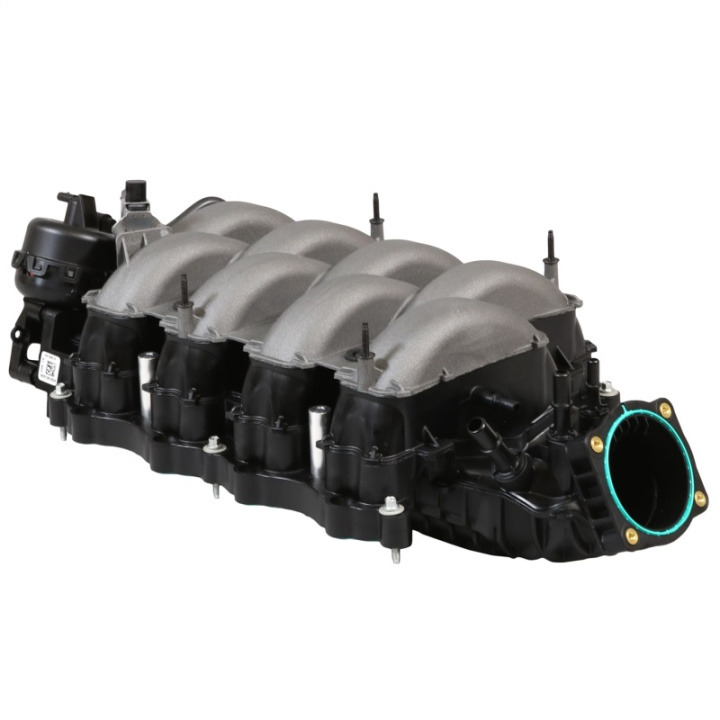 2018-2023 Gen 3 5.0L Coyote Insug Ford Racing i gruppen Välj bilmodell / Ford hos DDESIGN Scandinavia AB (frpM-9424-M50C)