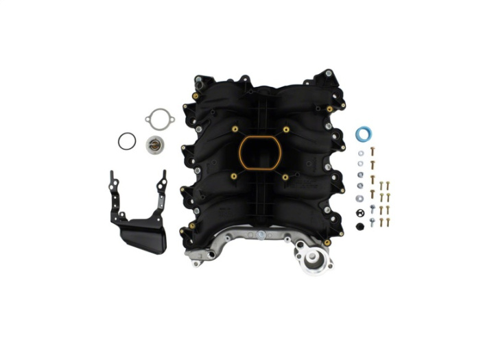 4.6L 2V Insug Pi Insug Ford Racing i gruppen Välj bilmodell / Ford hos DDESIGN Scandinavia AB (frpM-9424-P46A)