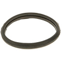 Termostatpackning Gates