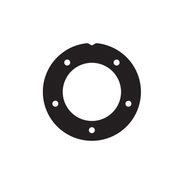 Packning för Isspro Bränslenivågivare Nuke Performance i gruppen Tuning / Bränslesystem / Övrigt & Reservdelar för bränsleprodukter hos DDESIGN Scandinavia AB (nuke-150-10-133)