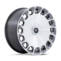 Asanti Black ARISTOCRAT     