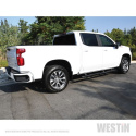 Chevrolet Silverado/Sierra 1500 Crew Cab (Ej LD) 2019+ PRO TRAXX 4 Ovala Sidosteg - Svart Westin