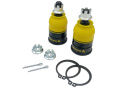 Honda Civic 7TH / Integra DC5 1999-2007 Rollcenter-Justering Whiteline