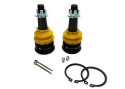 Honda Civic 10TH / 11TH 2017-2022 Rollcenter-Justering Whiteline